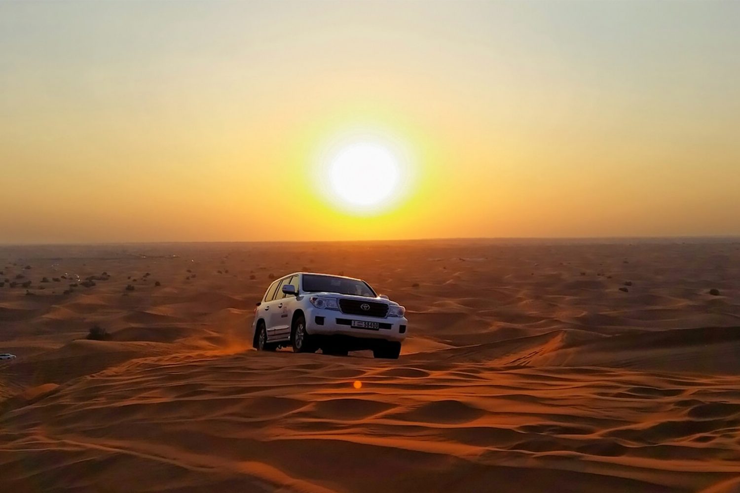 Morning desert safari exclusive car