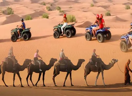 MORNING QUAD BIKE TOUR - SAND BOARD AND CAMEL SAFARI